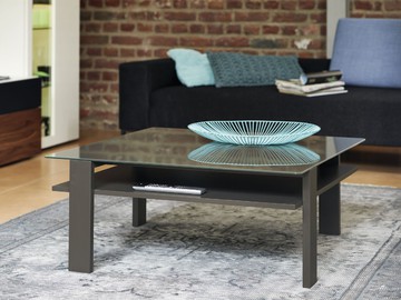 1590_coffee table_PG1
